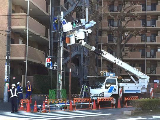 関連画像