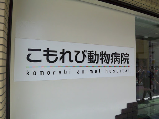 関連画像