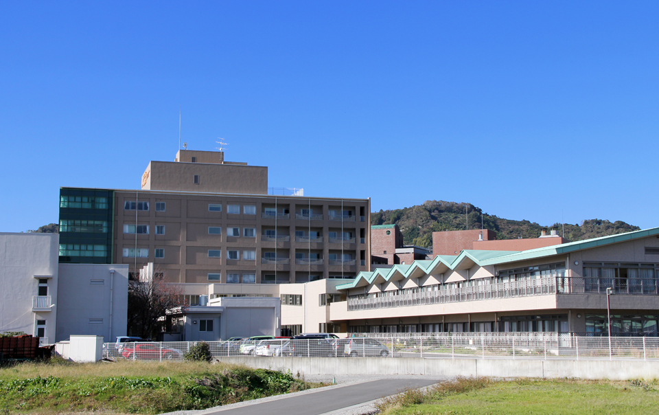 関連画像